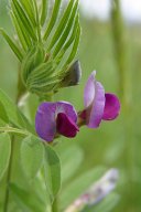 jordan-macro-fleurchamps-2113