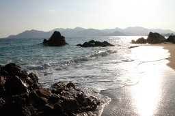 jordan-nature-plage-2416