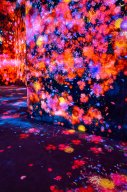 projection-mural