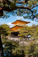 temple-dore-kyoto