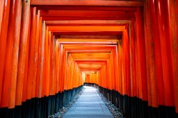 tori-inari