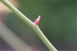 img_4540