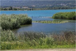 img_6816