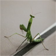 img_6958