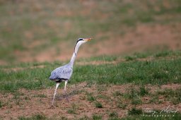 2022_03_img_7023