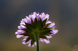 2022_05_img_0541