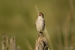 2022_07_img_7760