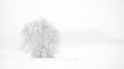 img_5351-modifier