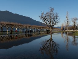 Crue du lac du Bourget